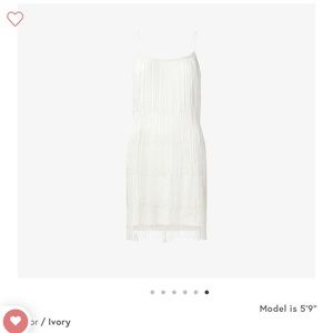 Adrianna Papell beaded ivory fringe dress